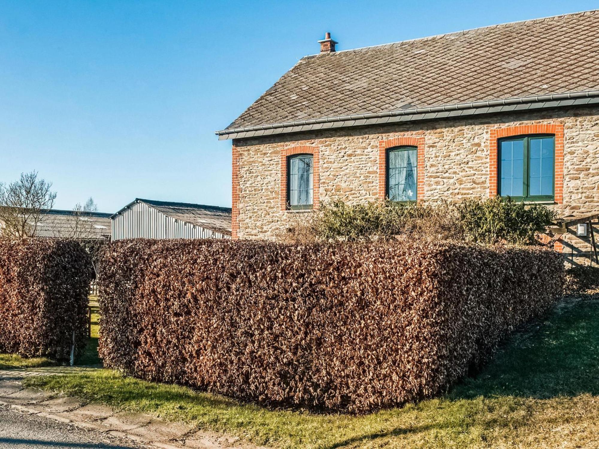 Pretty Farmhouse In Houffalize With Courtyard Екстер'єр фото